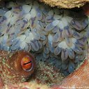 ���� Eric, ����, 61 ��� - ��������� 29 ������ 2016 � ������ �The beauty of the sea�