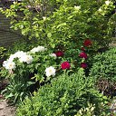 ���� �������, ��������������, 41 ��� - ��������� 28 ������� 2016 � ������ ���� ����������