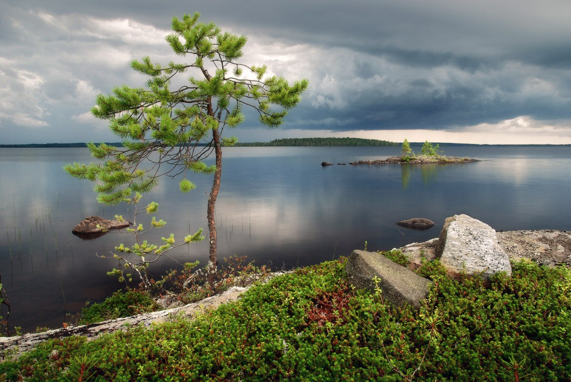  ! - 24  2016  15:47 - 4