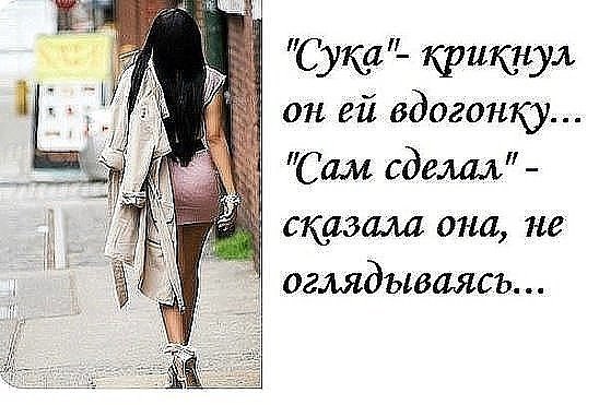 ,     ...      !..       - ... - 2