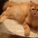 ���� �������, ������ - ��������� 29 ��� 2016 � ������ ���� ����������