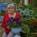 ���� ������, ����������, 69 ��� - ��������� 22 ������� 2016 � ������ ���� ����������