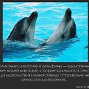 ���� �������, �������, 47 ��� - ��������� 30 ������� 2016 � ������ ����������� ������