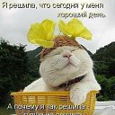 ���� Ella, ���������, 55 ��� - ��������� 27 ������ 2016 � ������ ������ ��������