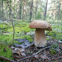 ���� Bablo, �����������, 57 ��� - ��������� 25 ���� 2016