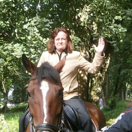 �����, �����, 54 ����