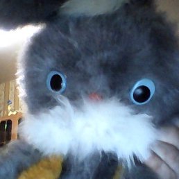 ����, �����-���������, 53 ����