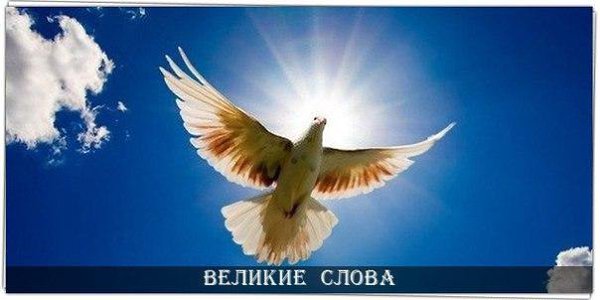 Самое главное украшение - чистая совесть. © Цицерон