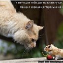 ���� �������, ������� - ��������� 17 ����� 2016 � ������ ������ ��������
