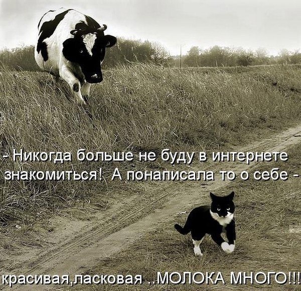  - 21  2016  18:00