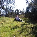 ���� �������, �����������, 74 ���� - ��������� 17 ������ 2016 � ������ ���� ����������