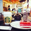 ���� ����, ������� - ��������� 14 ��� 2016 � ������ ���� ����������