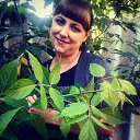 ���� ������, ���������, 44 ���� - ��������� 15 ���� 2016 � ������ ���� ����������