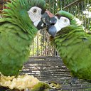 ����������� � ����������� �� ������� ���� ����������