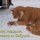���� �������, ������� - ��������� 17 ����� 2016 � ������ ������ ��������