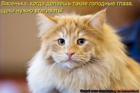 ***Victoria Viktorovna*** - 22  2016  14:35