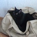 ��� ��� ����� �� ������� ���� ����������