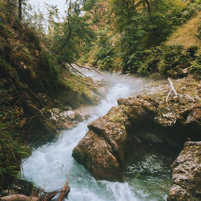 Golden Ears, BC, Canada - 8