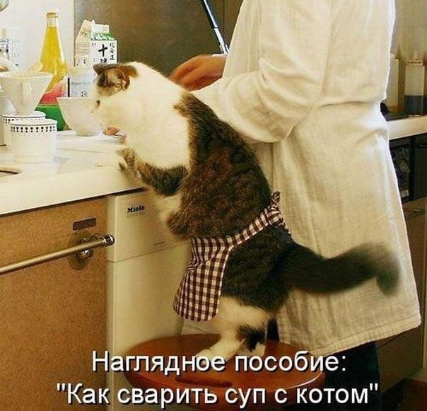 #@bon