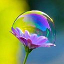 ���� ��������� ���������, ��������� - ��������� 16 ����� 2016 � ������ ���� ����������