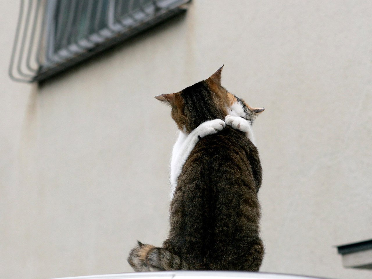    :3 - 8