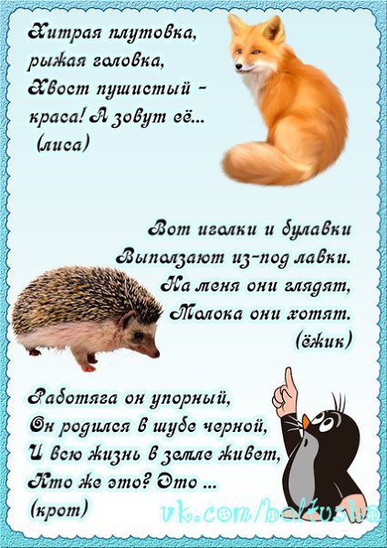 Загадки по теме