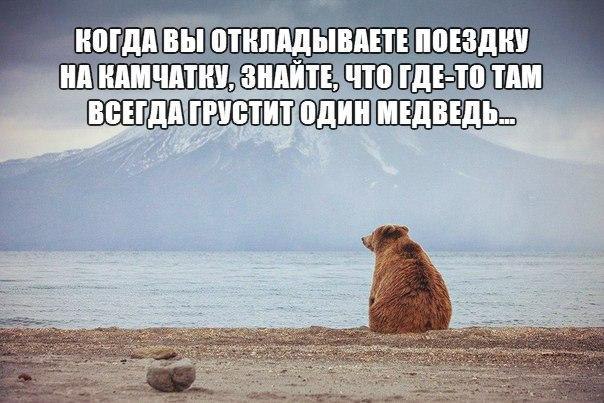   - 1  2016  18:56
