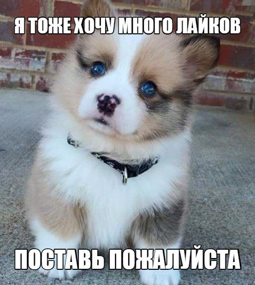     - 22  2016  14:20