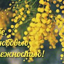 ���� �������, �������� - ��������� 13 ������ 2016 � ������ �������� ��������
