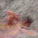 ���� ������, ������� - ��������� 30 ���� 2016