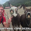 ���� �������, ������� - ��������� 9 ���� 2016 � ������ ���������