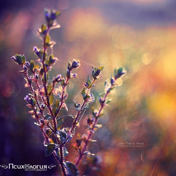   -  ,    e,      .   - 6