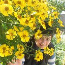 ���� �����, ������ �������� - ��������� 6 ���� 2016 � ������ ���� ����������