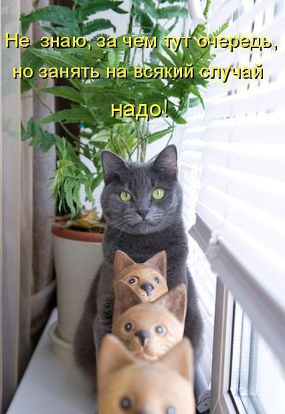  -  - 10  2016  10:28