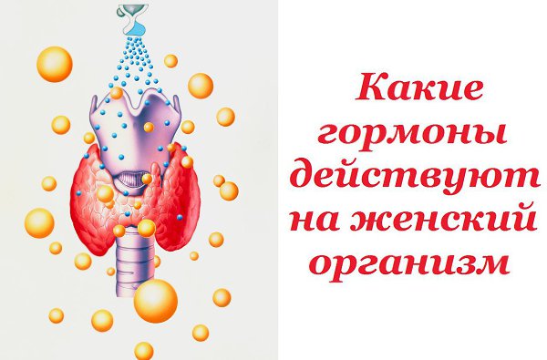 Какие гормоны действуют на женский организм.Практически во всем, что с вами происходит — от легкого ...