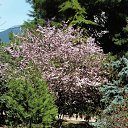  , , 60  -  23  2016       ,18-20.03.16