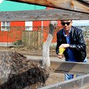 ���� ������, ����, 58 ��� - ��������� 11 ������ 2016 � ������ ������ ��������