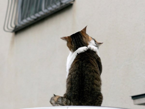    :3 - 8