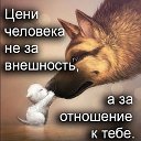 ���� �, ������ - ��������� 8 ������ 2016 � ������ ������ ��������