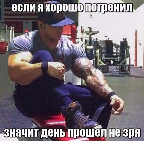  -   - 24  2016  18:29