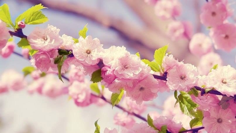   . . . . #@https://fotostrana.ru/away?to=/sl/XE2 #@https://fotostrana.ru/away?to=/sl/XE2 - 6