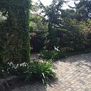 ���� �������, ��������������, 41 ��� - ��������� 28 ������� 2016 � ������ ���� ����������