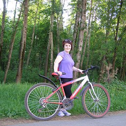 ���� �����, �����, 62 ���� - ��������� 28 ��� 2016