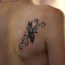 ���� ���������, �����, 33 ���� - ��������� 25 ��� 2016
