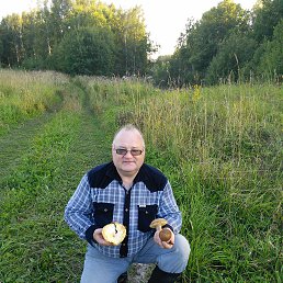 ���� ����, �����������, 66 ��� - ��������� 13 ����� 2016