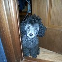 ���� Olga, ������������ - ��������� 10 ������ 2016 � ������ ���� ����������