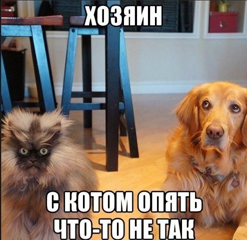  )