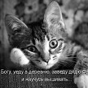 ���� Ը���, �����, 30 ��� - ��������� 28 ���� 2016 � ������ ���� ����������