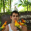 ���� ����, ������, 38 ��� - ��������� 10 ������� 2016 � ������ ���� ����������