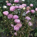 ���� Vladimir, �����������, 42 ���� - ��������� 28 ������ 2016 � ������ ���� ����������